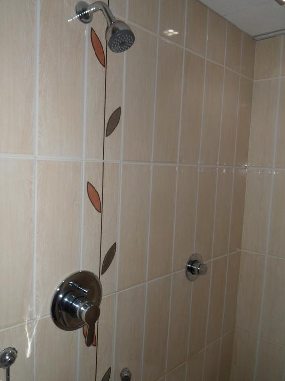 Hotel Silver Plaza Ahmadabad Pokój zdjęcie